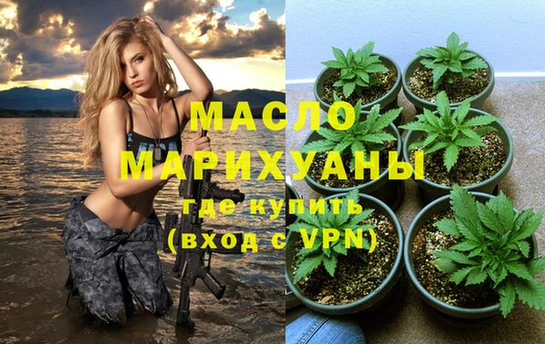 индика Сатка