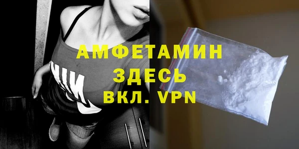 мдпв Бородино