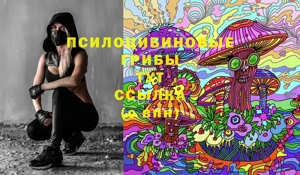 твердый Верея