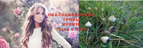 мдпв Володарск