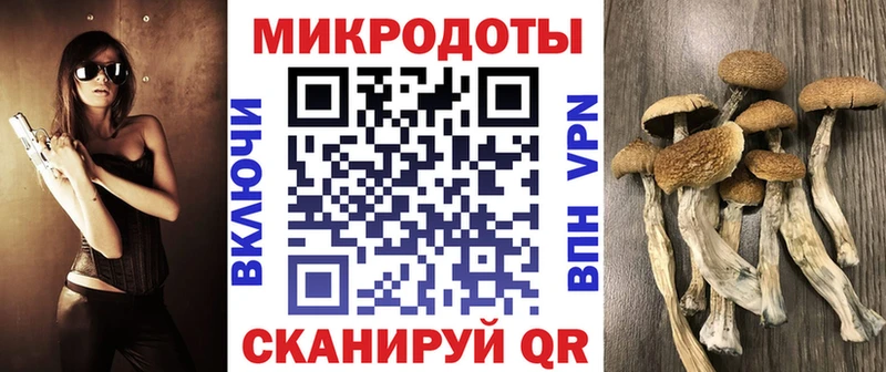 купить наркотики цена  Демидов  Псилоцибиновые грибы мухоморы 